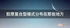 胶原复合型模式分布在那些地方?