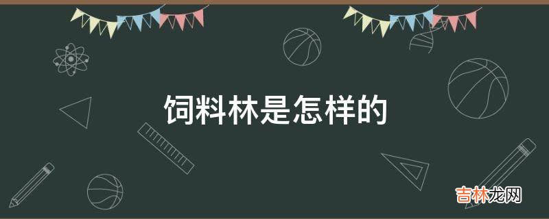 饲料林是怎样的?