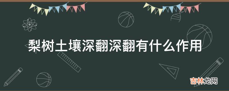 梨树土壤深翻深翻有什么作用?