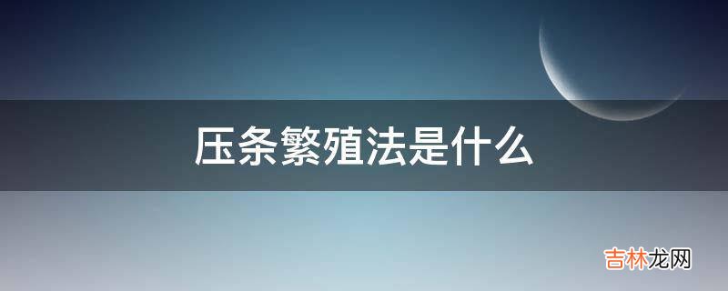 压条繁殖法是什么?