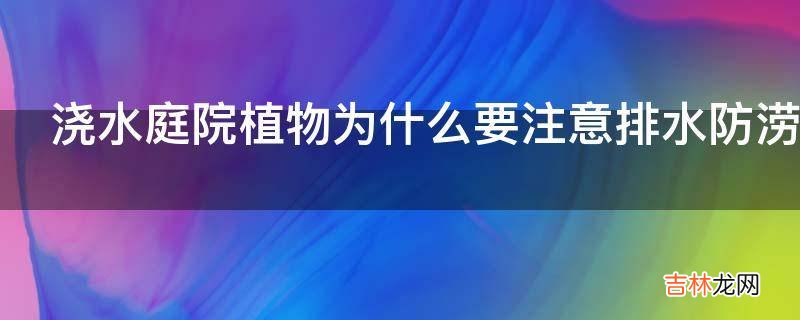 浇水庭院植物为什么要注意排水防涝?