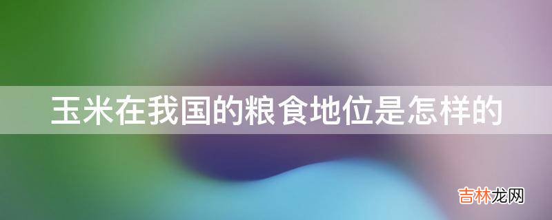 玉米在我国的粮食地位是怎样的?