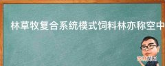 林草牧复合系统模式饲料林亦称空中牧场怎么做?