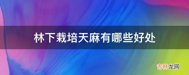 林下栽培天麻有哪些好处?