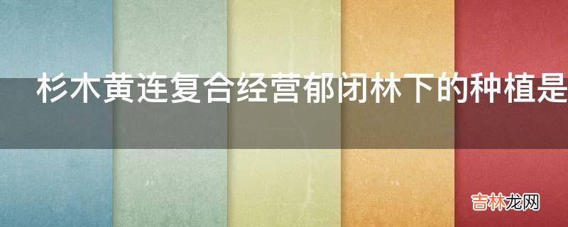 杉木黄连复合经营郁闭林下的种植是怎样的?