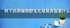 林下药用植物野生化培育类型是什么?