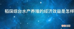 稻田综台水产养殖的经济效益是怎样的?