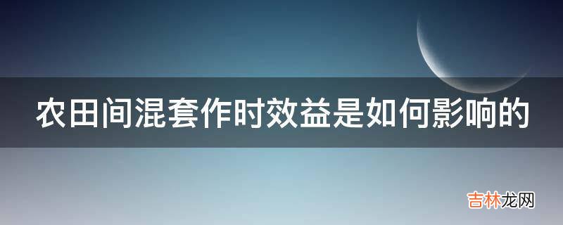 农田间混套作时效益是如何影响的?