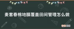 麦套春棉地膜覆盖田间管理怎么做?