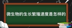 微生物的生长繁殖速度是怎样的?