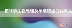 秸秆微生物处理及单细胞蛋白饲料是怎样的?