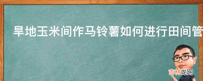 旱地玉米间作马铃薯如何进行田间管理?