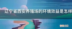 辽宁省西安养殖场的环境效益是怎样的?