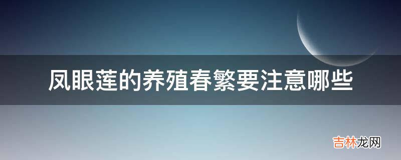 凤眼莲的养殖春繁要注意哪些?