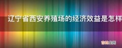 辽宁省西安养殖场的经济效益是怎样的?