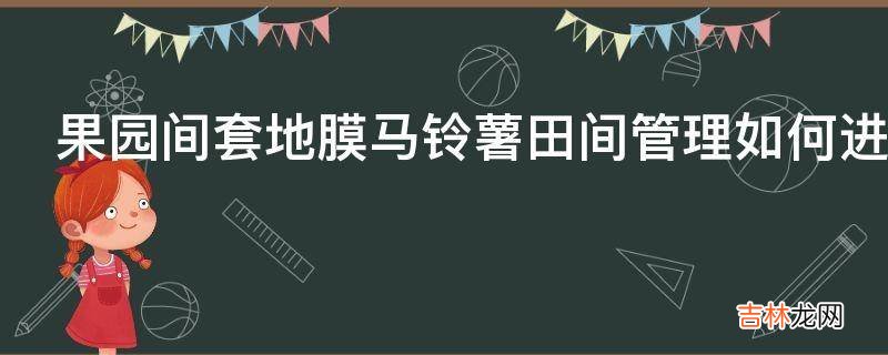 果园间套地膜马铃薯田间管理如何进行茬口安排?