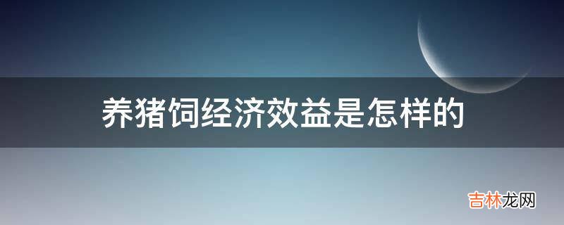 养猪饲经济效益是怎样的?