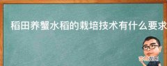 稻田养蟹水稻的栽培技术有什么要求?