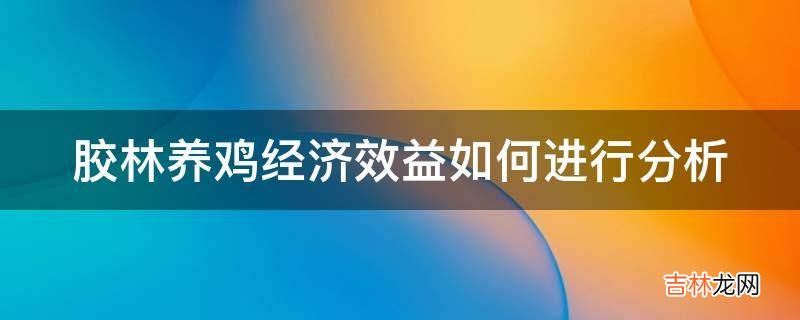 胶林养鸡经济效益如何进行分析?