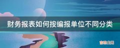 财务报表如何按编报单位不同分类?