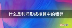 什么是利润形成核算中的错弊?