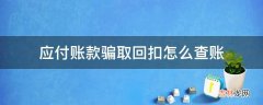 应付账款骗取回扣怎么查账?