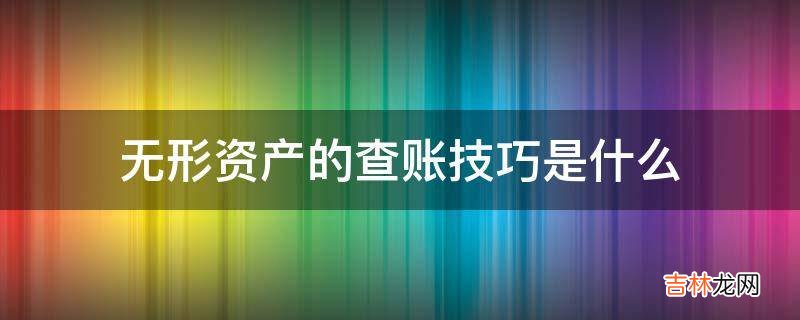 无形资产的查账技巧是什么?