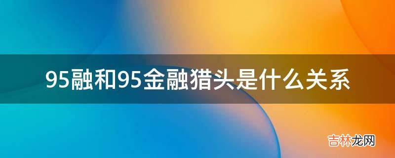 95融和95金融猎头是什么关系?