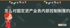 怎么对固定资产业务内部控制制度的检查?