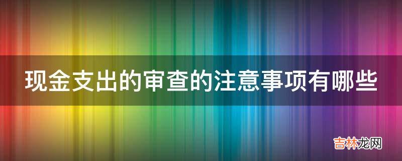 现金支出的审查的注意事项有哪些?