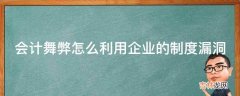 会计舞弊怎么利用企业的制度漏洞?