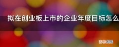 拟在创业板上市的企业年度目标怎么制定?