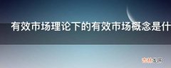 有效市场理论下的有效市场概念是什么?