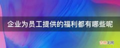 企业为员工提供的福利都有哪些呢?