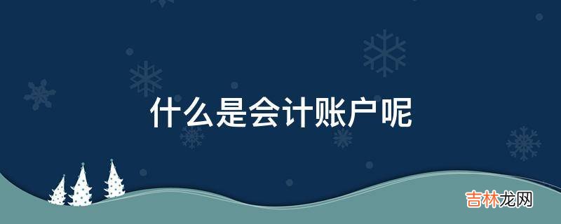 什么是会计账户呢?