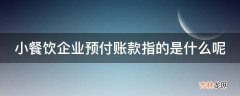 小餐饮企业预付账款指的是什么呢?