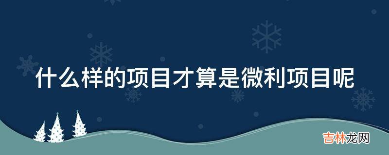 什么样的项目才算是微利项目呢?