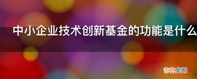 中小企业技术创新基金的功能是什么?