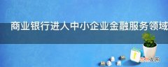 商业银行进人中小企业金融服务领域主要体现在哪些方面?