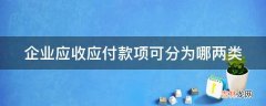 企业应收应付款项可分为哪两类?