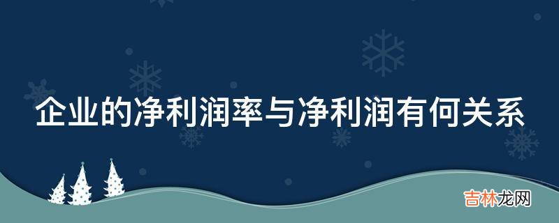 企业的净利润率与净利润有何关系?