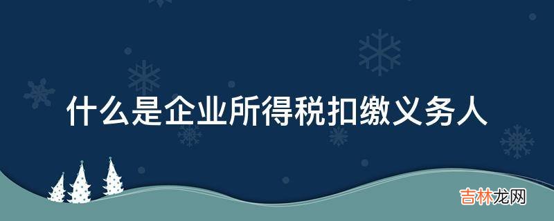 什么是企业所得税扣缴义务人?