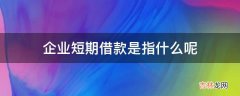 企业短期借款是指什么呢?