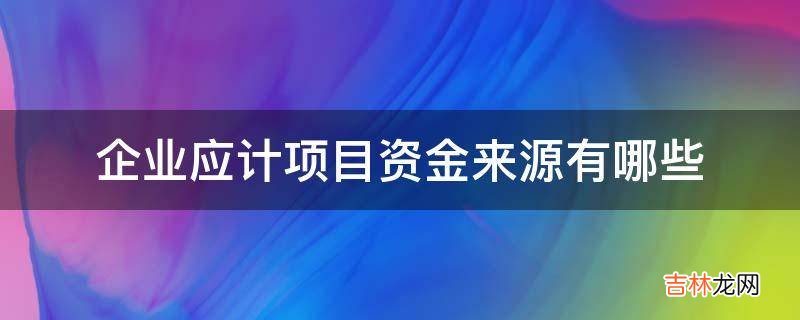 企业应计项目资金来源有哪些?