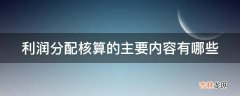 利润分配核算的主要内容有哪些?