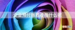 企业预付账款是指什么呢?