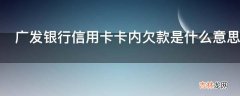 广发银行信用卡卡内欠款是什么意思?