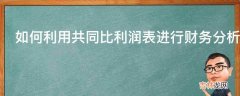 如何利用共同比利润表进行财务分析?