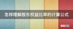 怎样理解股东权益比率的计算公式?