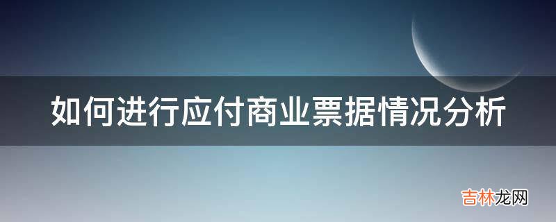 如何进行应付商业票据情况分析?